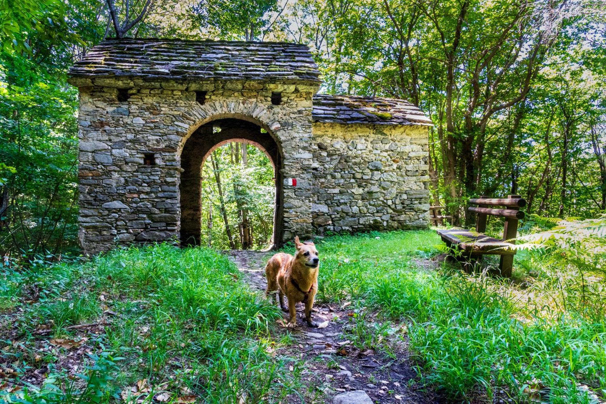 Casa Del Borgo "Aria & Acqua" Sul Lago Maggiore Maccagno Extérieur photo